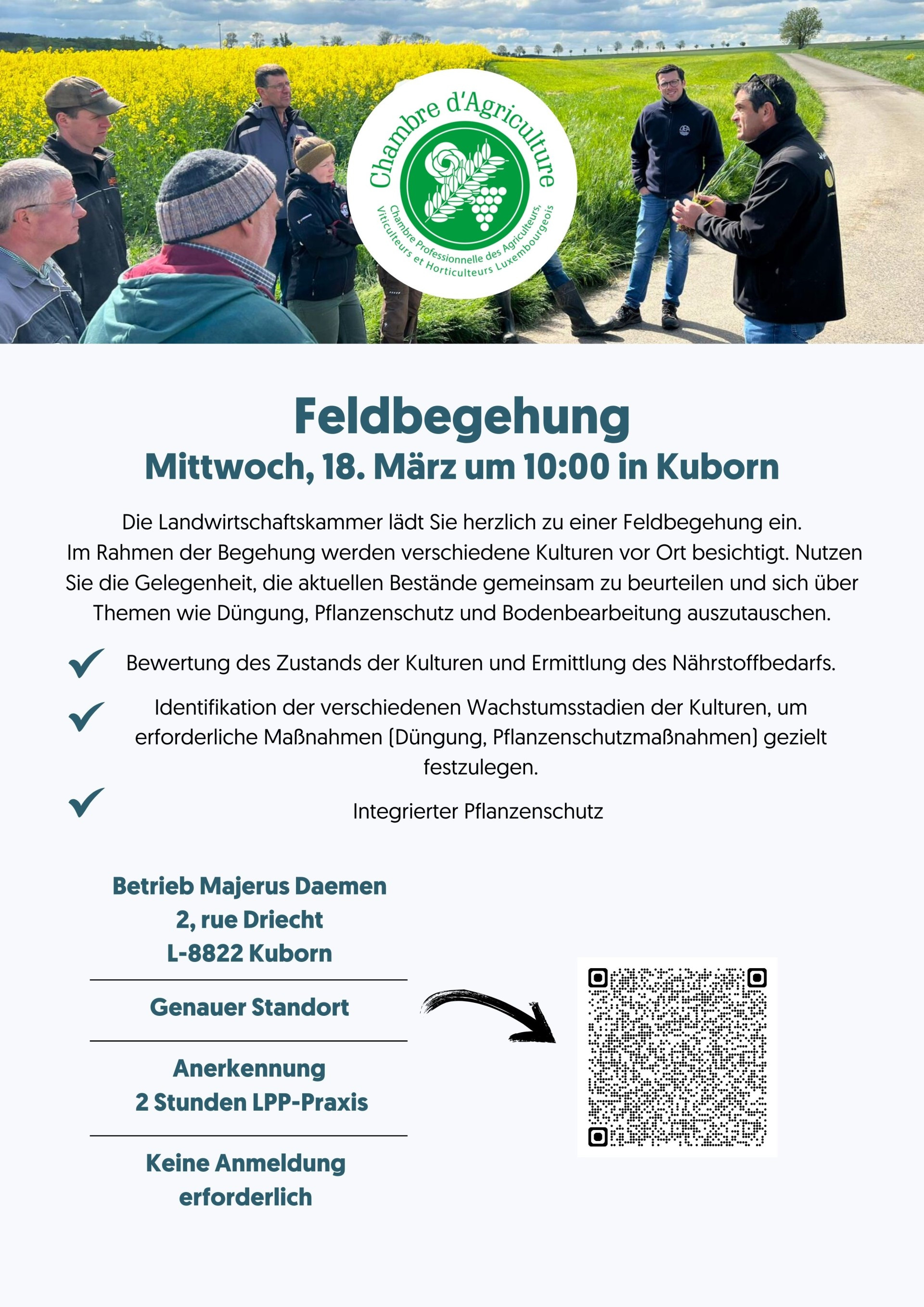 Feldbegehung Flyer