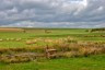 landscape-g57dd52aaf_1920