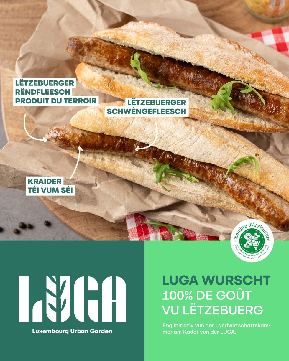 LUGAfinalLU