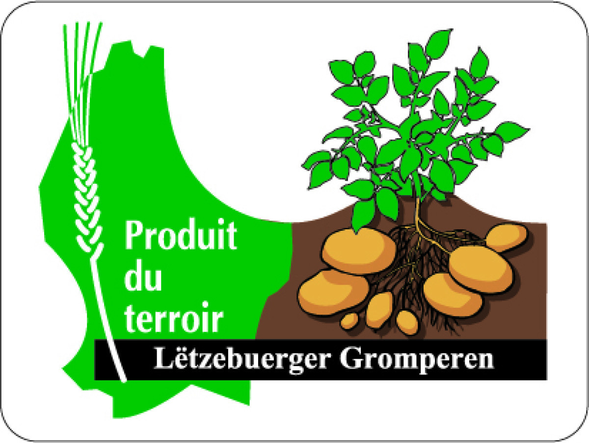 Logo-PDT-Gromperen_vectorisé