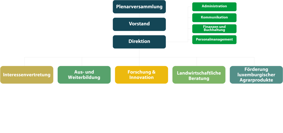 Organigram