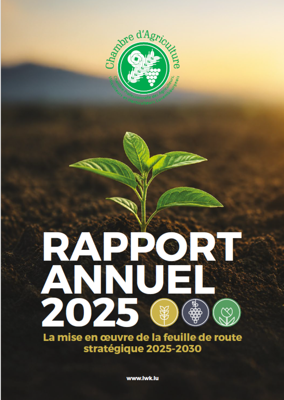 Rapport annuel 2025