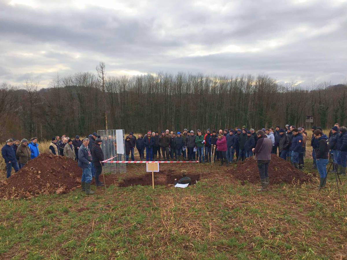 da941559-5d8f-4212-b353-66cdd2803b81 - Modifié