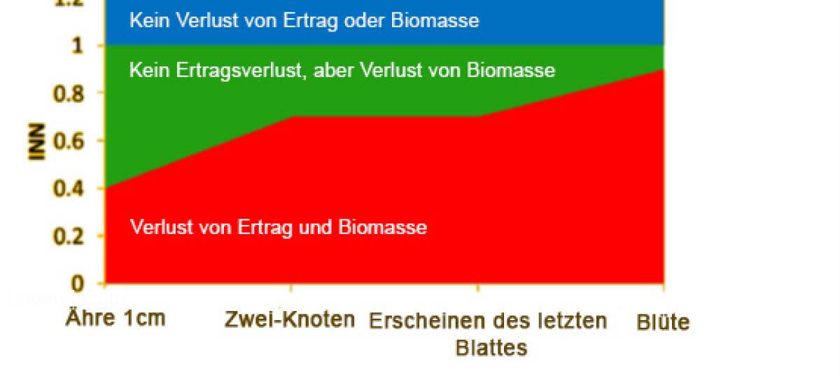 Bild2_de