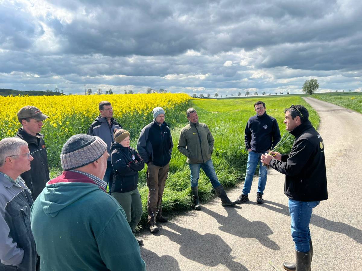 WhatsApp Image 2025-12-18 at 15.28.44