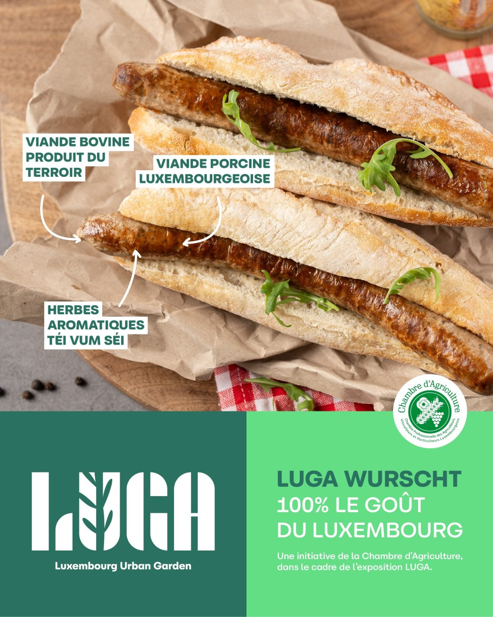 LUGA1final
