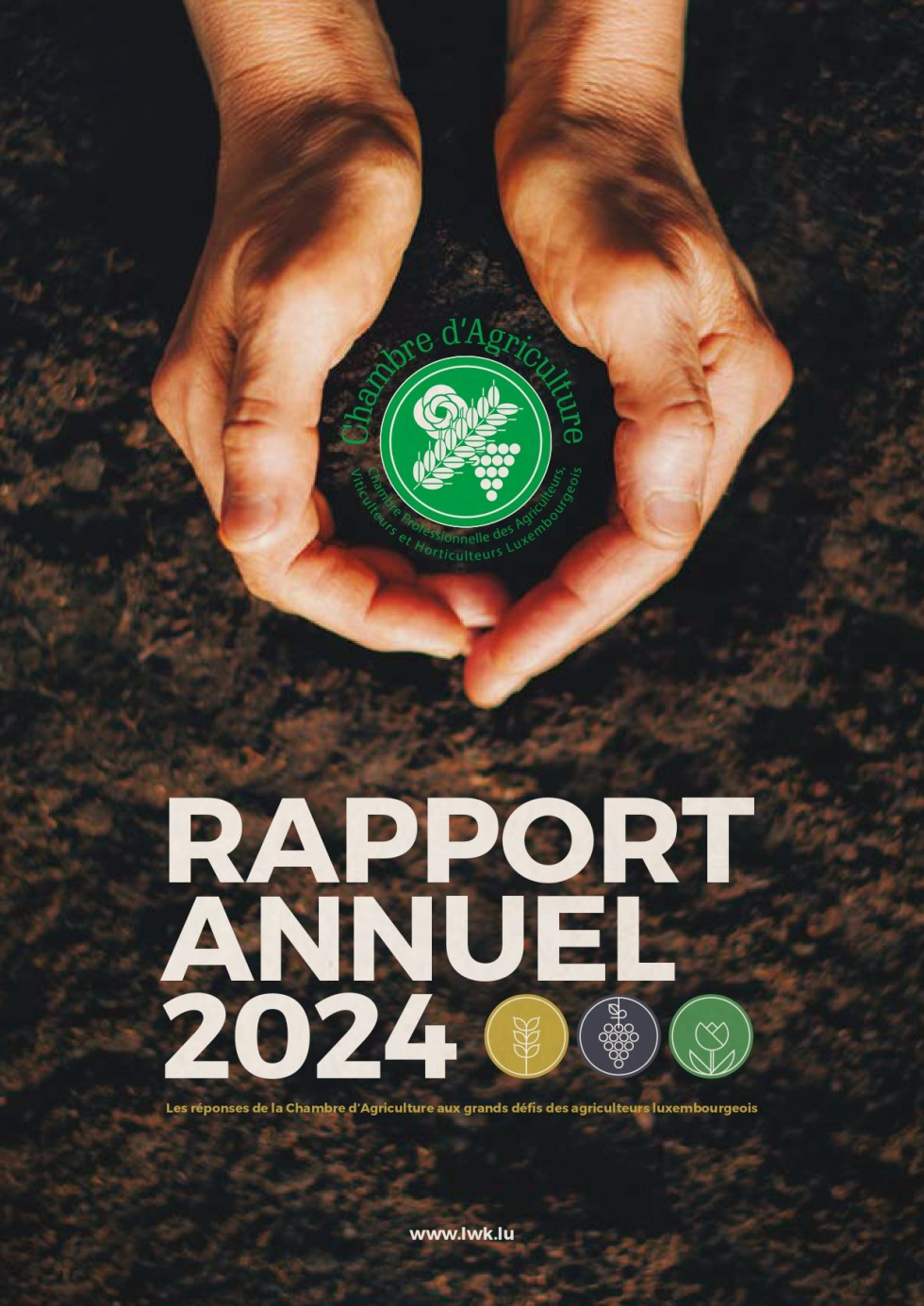 Rapport annuel 2024-1_page-0001