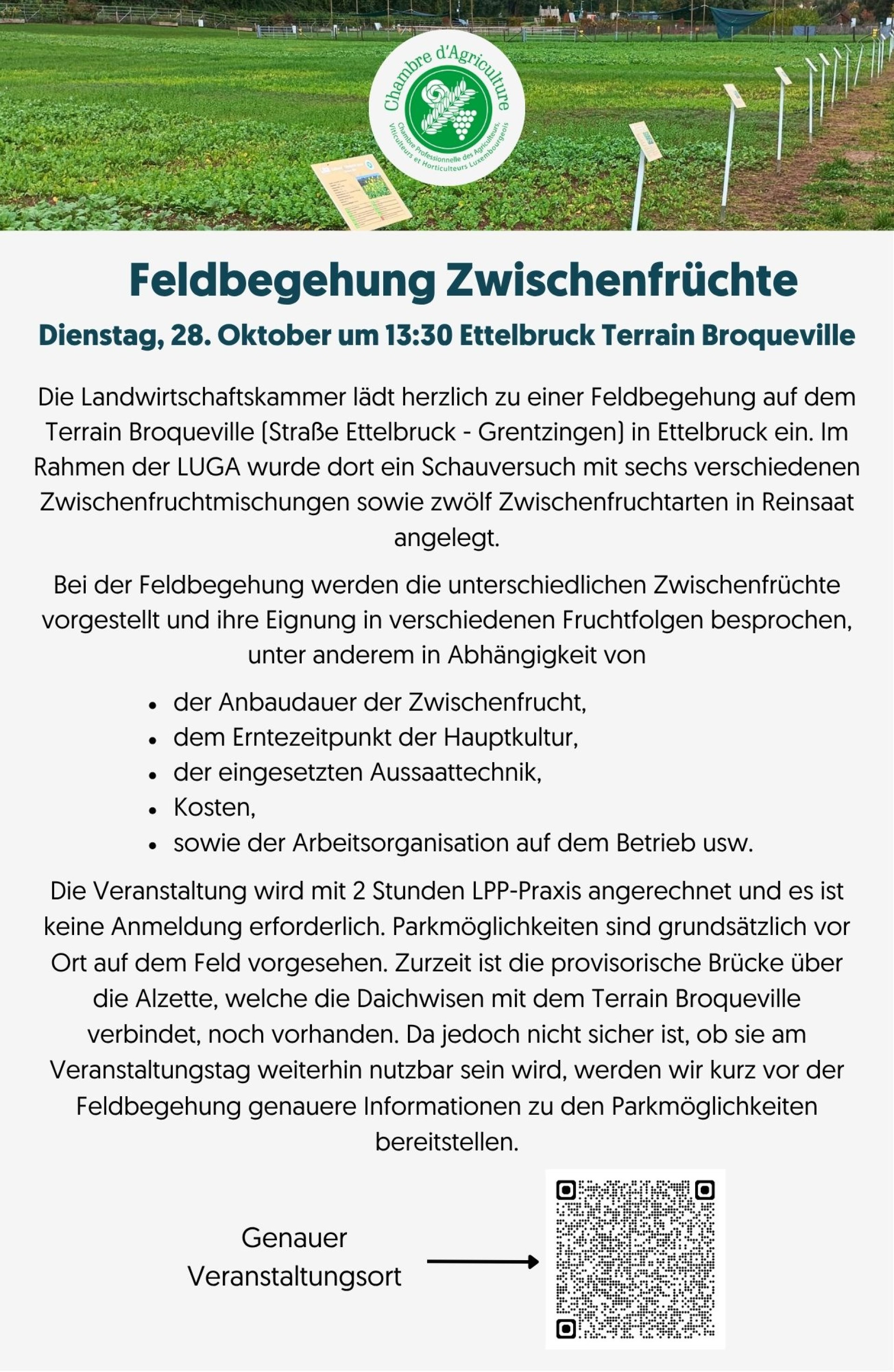 Annonce Bauer